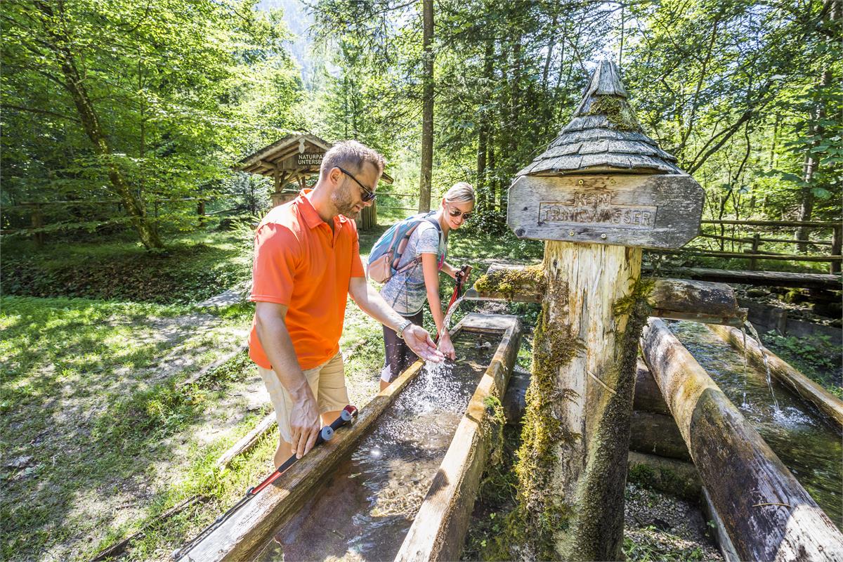 Naturpark Untersberg / Waldquizweg | Großgmain