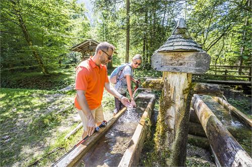 Untersberg Nature Park / Forest quiz trail | Großgmain