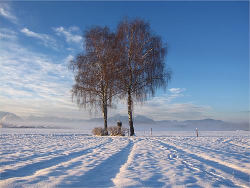 Cross country skiing Athering | Anthering