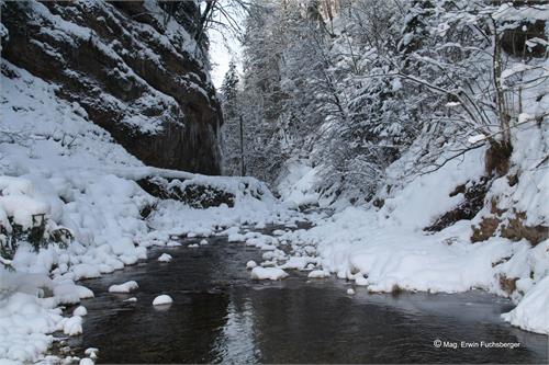 Winterwanderung Glasenbachklamm | Elsbethen