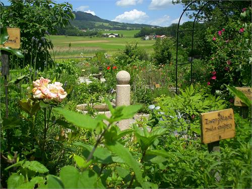 Der Antheringer Kräutergarten | Anthering