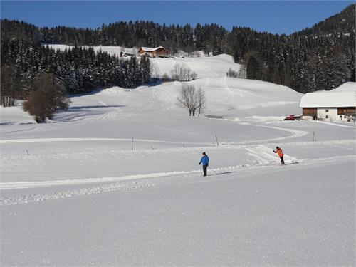 Langlaufen am Gaisberg | Elsbethen