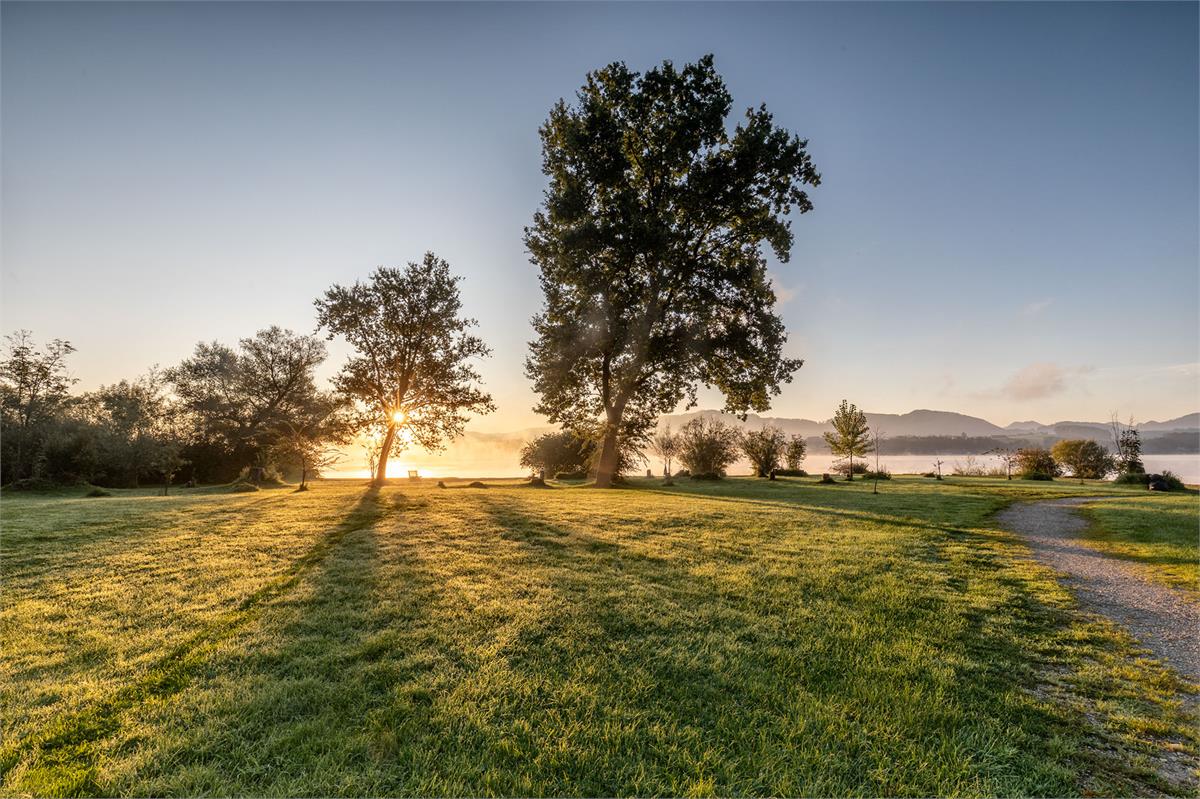 Naturbadestrand Zell am Wallersee | Seekirchen | (c) Ernest Stierschneider