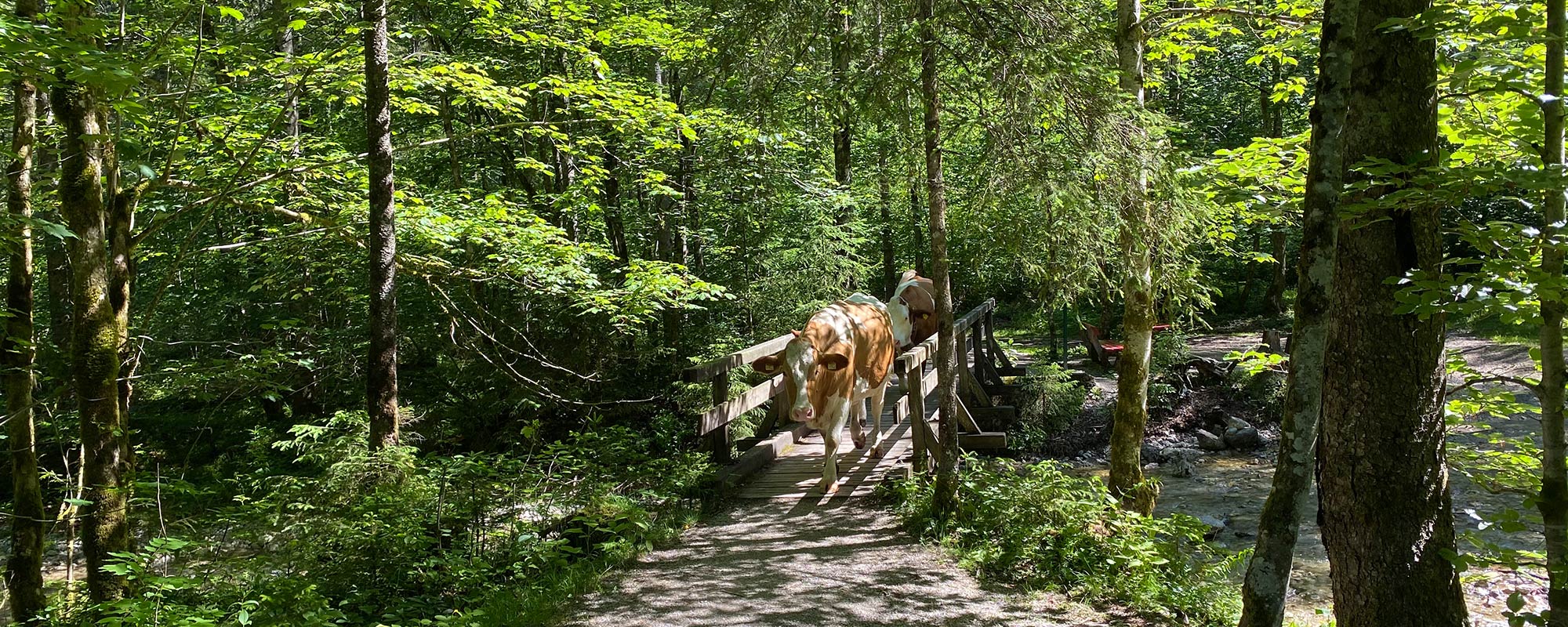 Der Tauernradweg im Land Salzburg